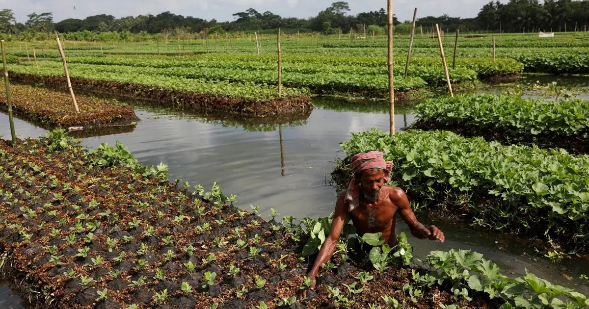 World Bank financing for Bangladesh